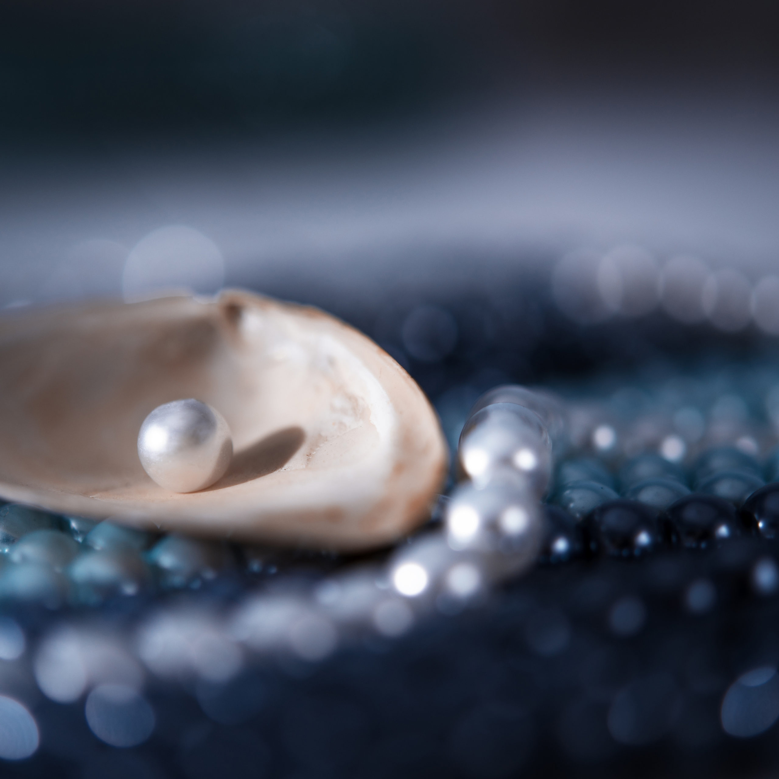 Perlschmuck